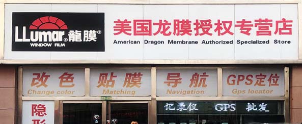 美国龙膜