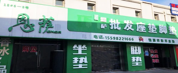 恩萨汽车脚垫座垫